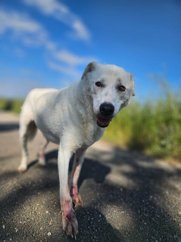 Consuelo: dolce, equilibrata, socievole Foto 10