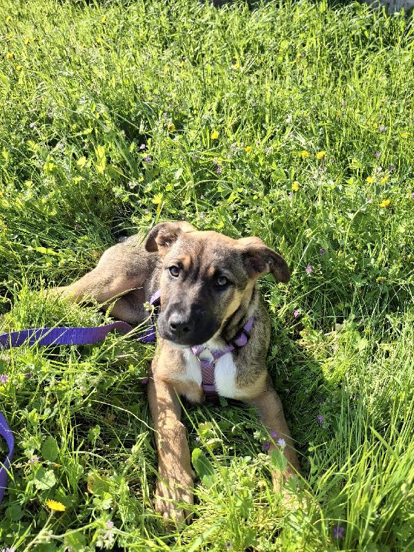 Fucsia ❤️ Foto 2