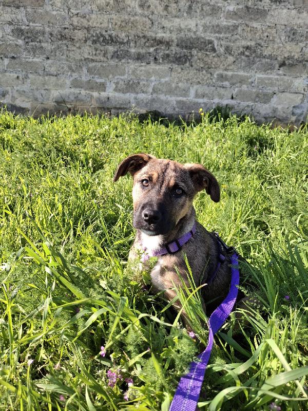 Fucsia ❤️ Foto 3