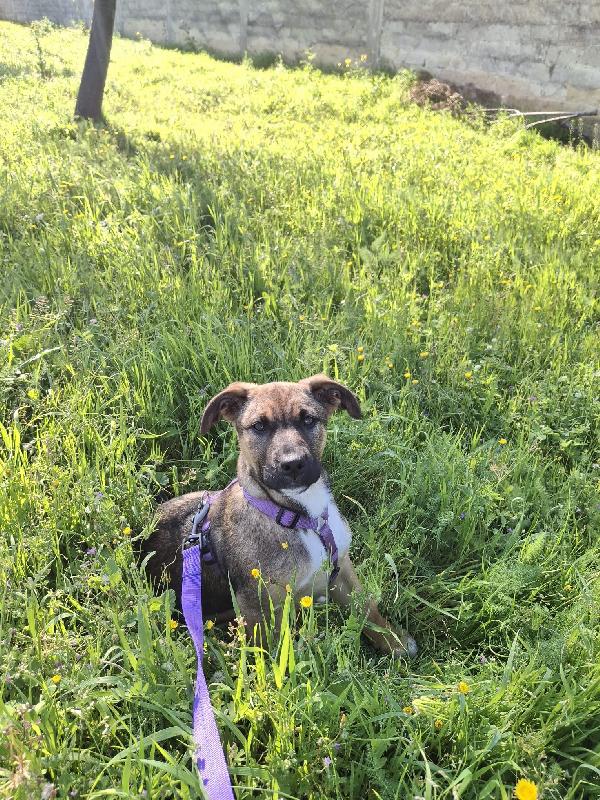 Fucsia ❤️ Foto 4