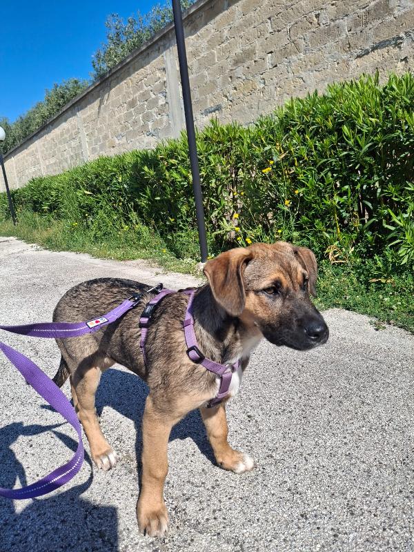 Fucsia ❤️ Foto 5