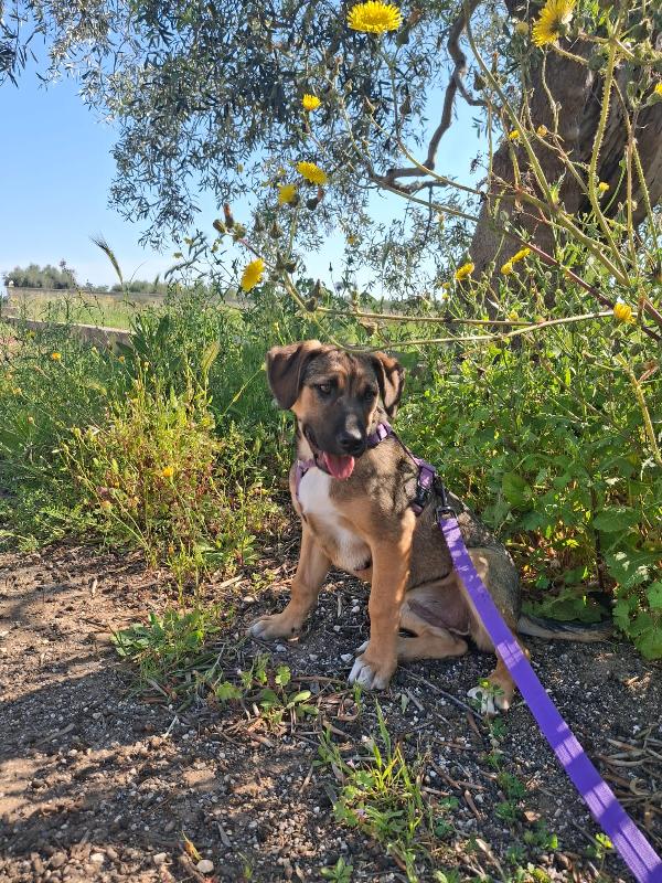 Fucsia ❤️ Foto 6