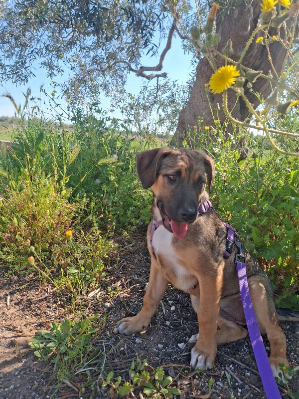 Fucsia ❤️ Foto 7