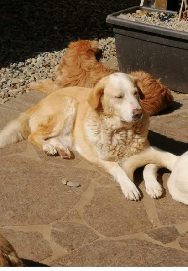 Sara Oltre 12Anni Mai Avuto 1Casa.roma