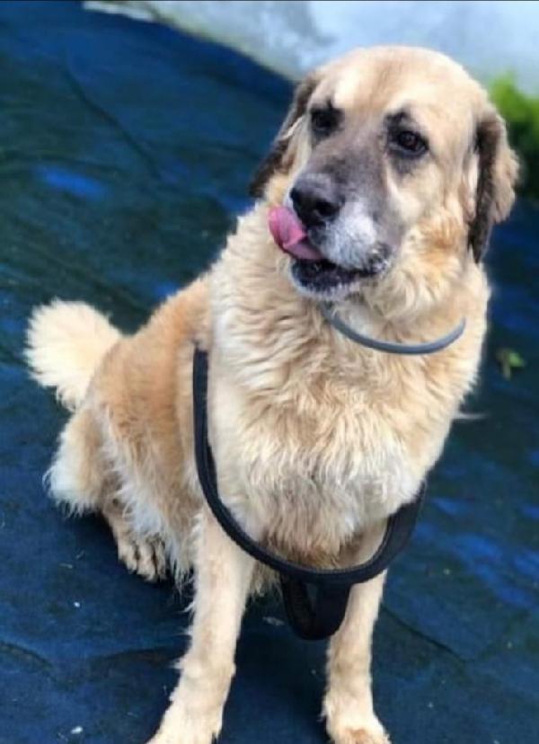 Sara oltre 12anni MAI AVUTO 1CASA.ROMA Foto 2