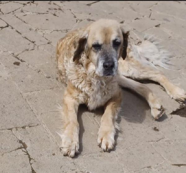 Sara oltre 12anni MAI AVUTO 1CASA.ROMA Foto 5