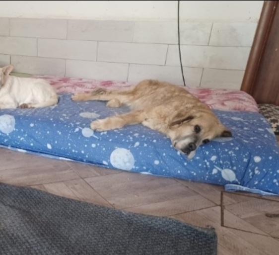 Sara oltre 12anni MAI AVUTO 1CASA.ROMA Foto 6