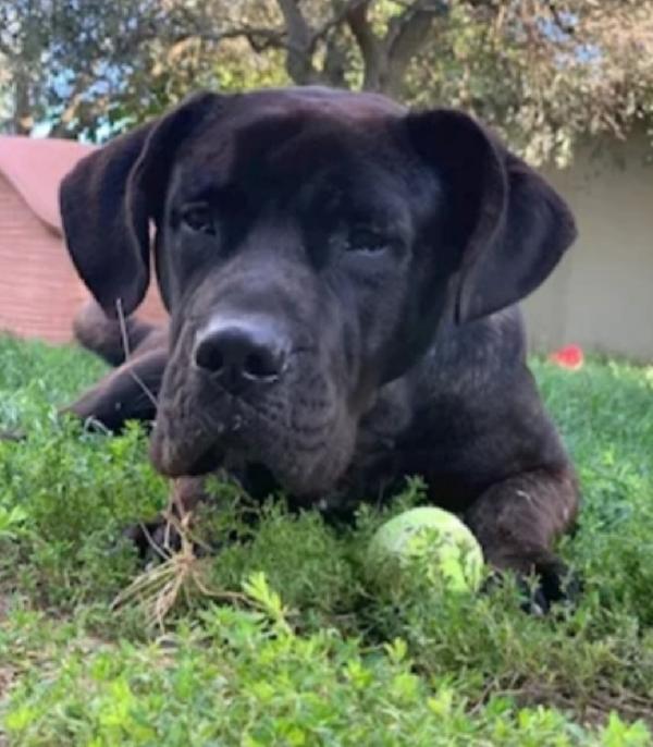 Corso 4Anni Dal Balcone Al Rifugio.solo In Toscana
