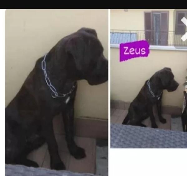 Corso 4anni dal balcone al rifugio.SOLO IN TOSCANA Foto 3