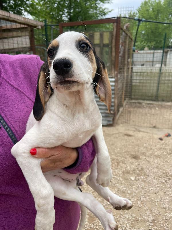 LA BELLISSIMA SELENE Foto 2