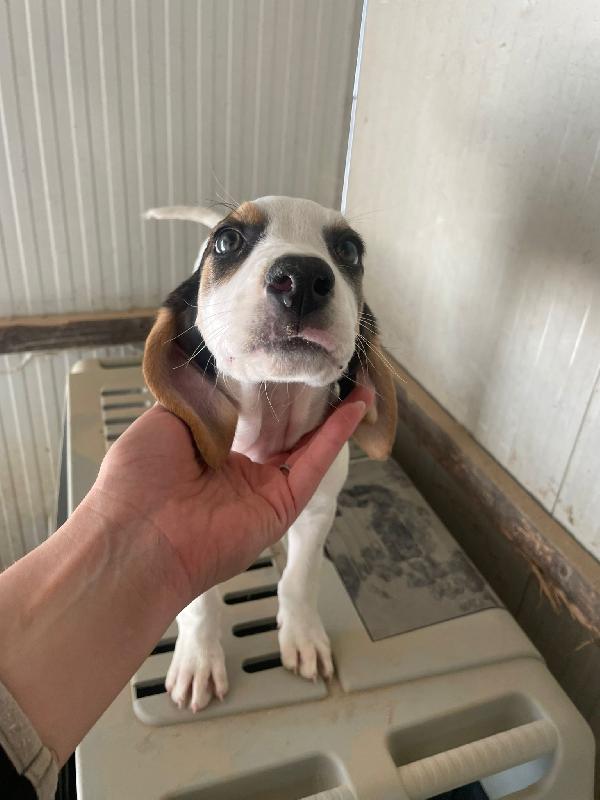 LA BELLISSIMA SELENE Foto 5