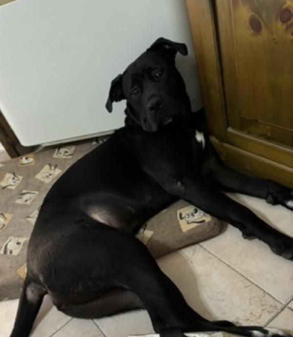 Kira Foto 4