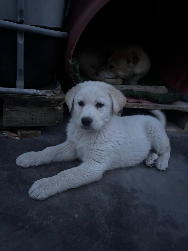 Kiro☄️💜💎 Foto 2