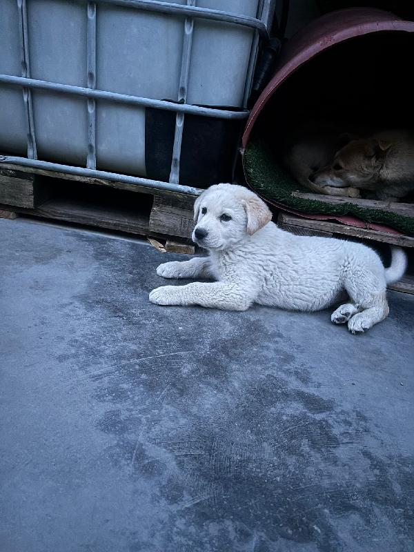 Kiro☄️💜💎 Foto 3