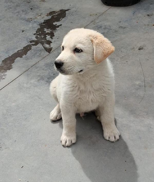 Kiro☄️💜💎 Foto 5