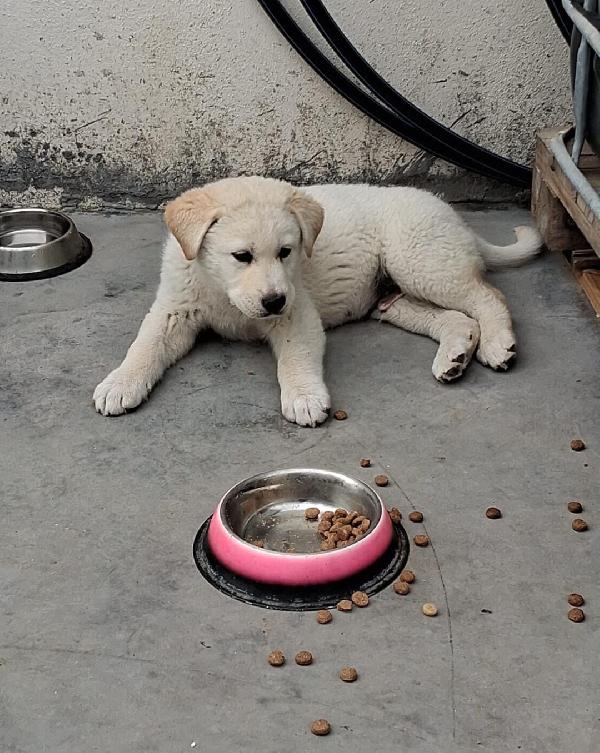 Kiro☄️💜💎 Foto 6