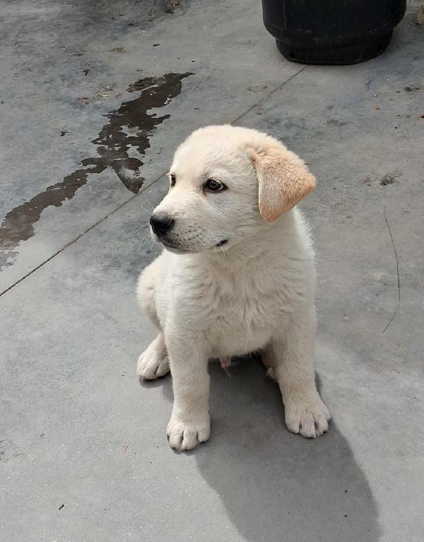 Kiro☄️💜💎 Foto 7