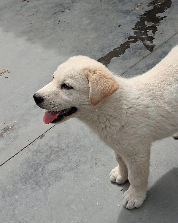 Kiro☄️💜💎 Foto 8