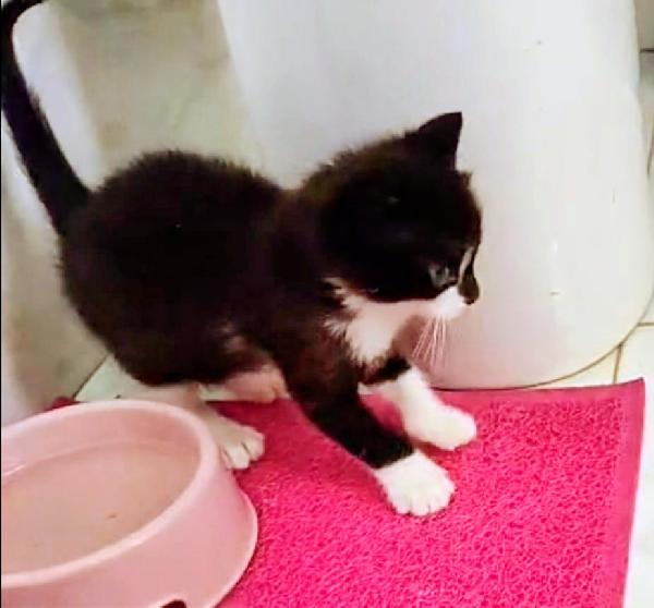 Margot e Lupin  Foto 2