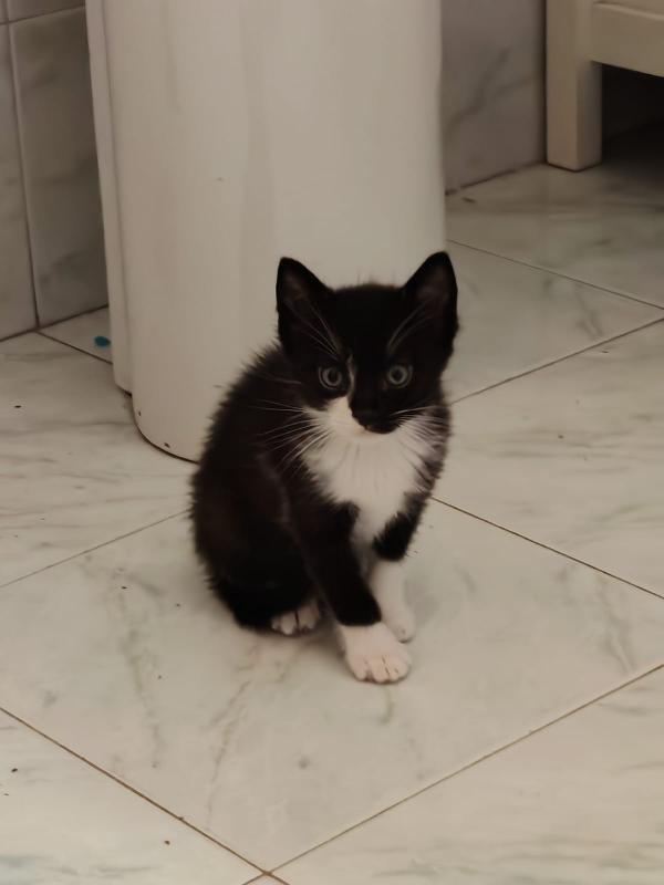 Margot e Lupin  Foto 4