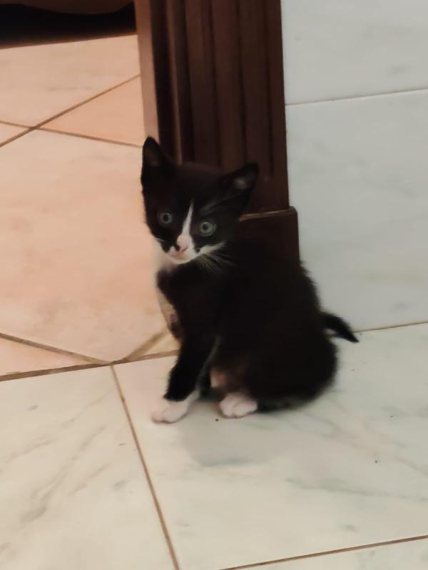 Margot e Lupin  Foto 5