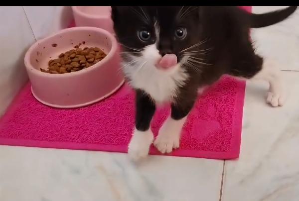 Margot e Lupin  Foto 6