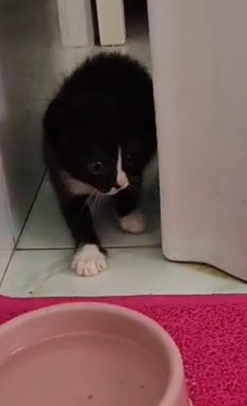 Margot e Lupin  Foto 7