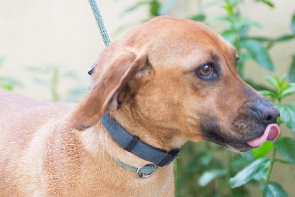 LAMPO ❤️ SEGUGINO CERCA CASA  Foto 2