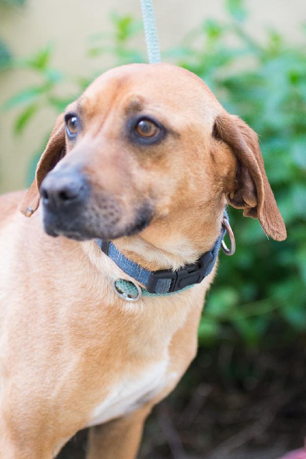 LAMPO ❤️ SEGUGINO CERCA CASA  Foto 4