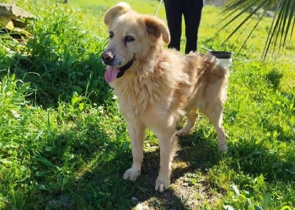 Giorgio Anziano..da 4Anni Vive In Box Tristemente..marera