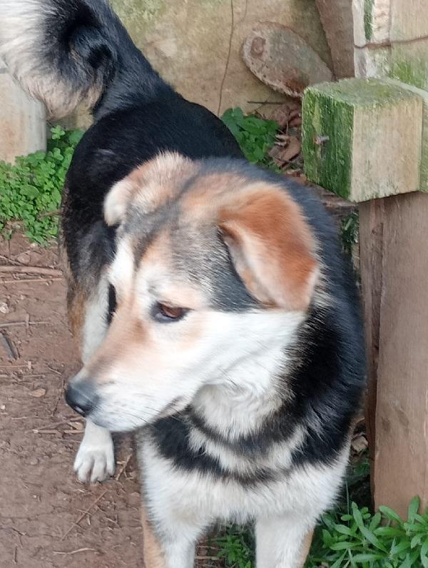 DOLCISSIMA LINA Foto 3