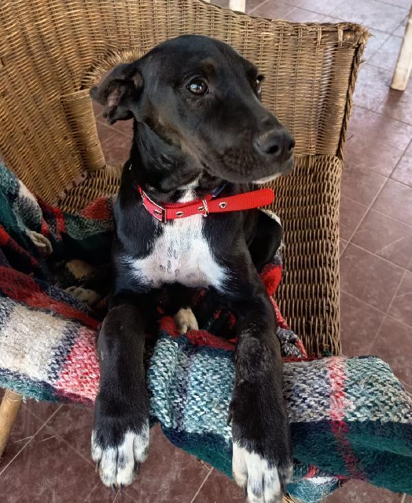 UNA MAMMA PER HOLLY Foto 2