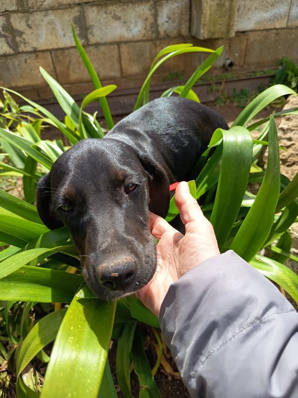 UNA MAMMA PER HOLLY Foto 3