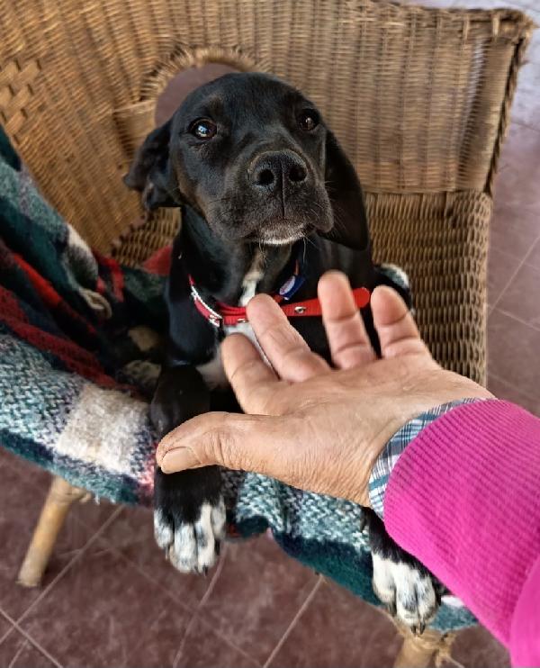 UNA MAMMA PER HOLLY Foto 4