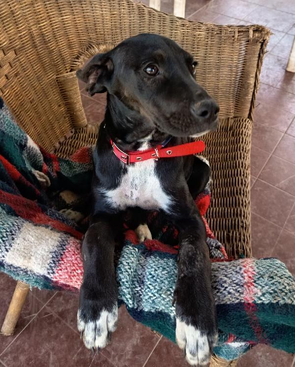 UNA MAMMA PER HOLLY Foto 5