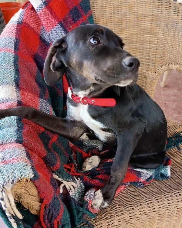 UNA MAMMA PER HOLLY Foto 6