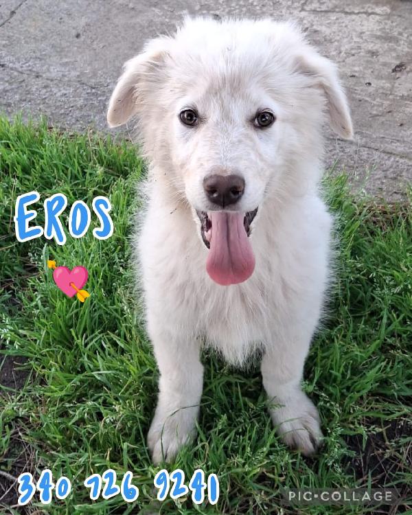 Eros🏹💞 Foto 2