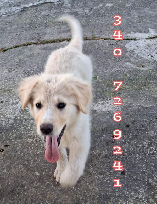 Aura💜💞💜 Foto 3