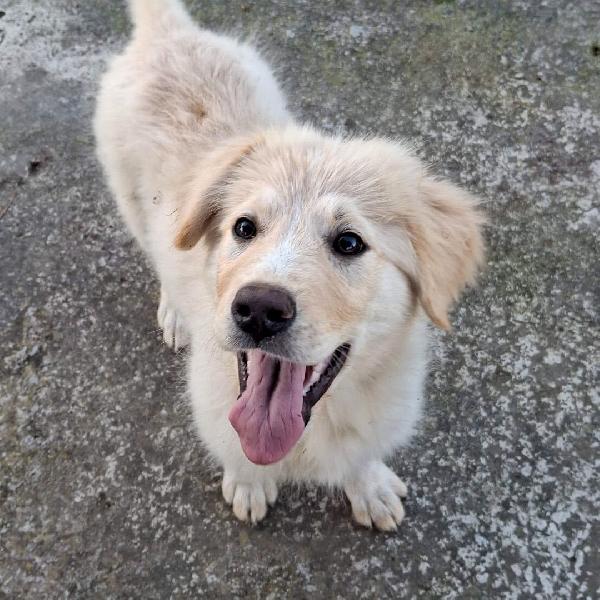 Aura💜💞💜 Foto 4