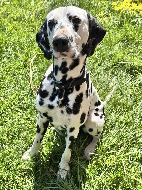 Casper