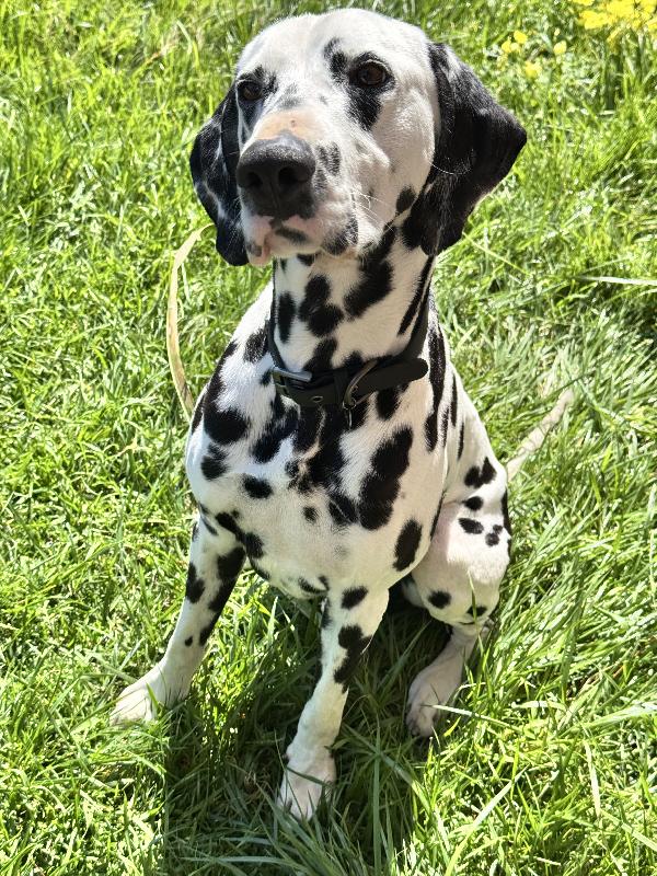 Casper Foto 2