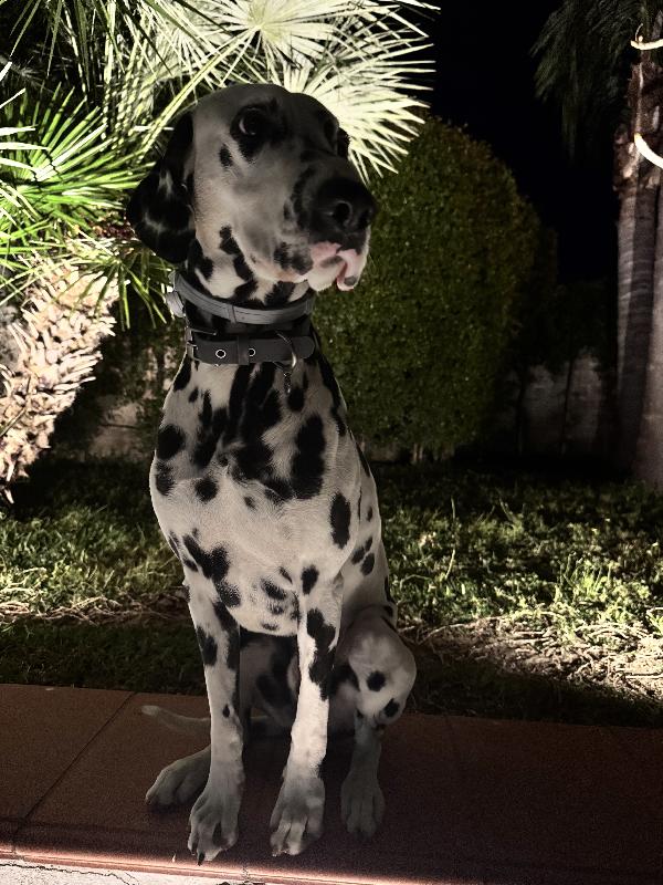 Casper Foto 5