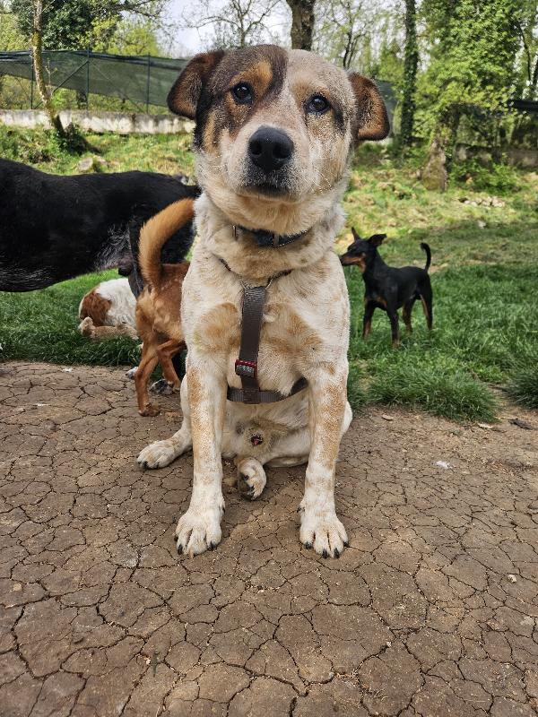 Max Non Ha Ricevuto Richieste