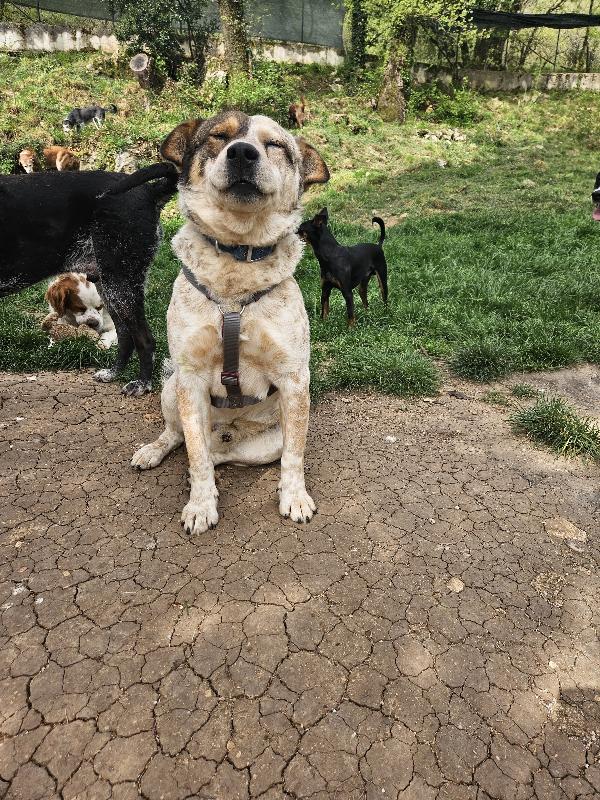 Max non ha ricevuto richieste Foto 2