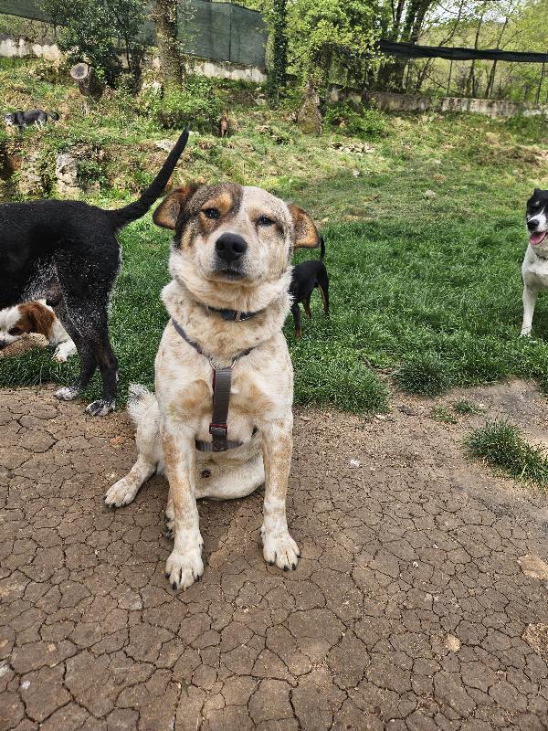 Max non ha ricevuto richieste Foto 3