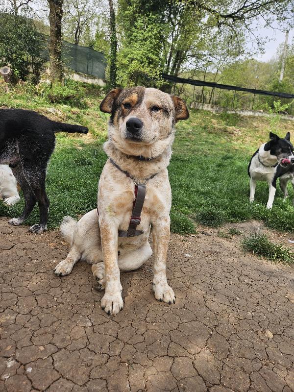 Max non ha ricevuto richieste Foto 4