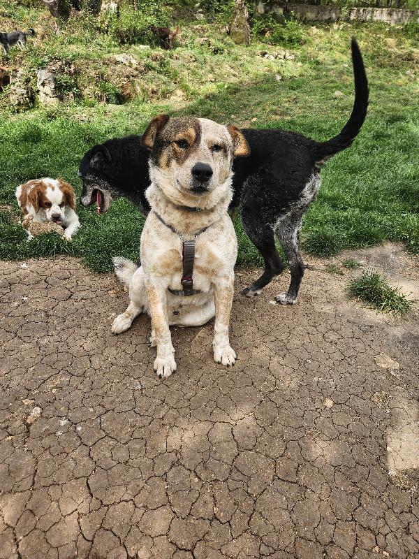 Max non ha ricevuto richieste Foto 5