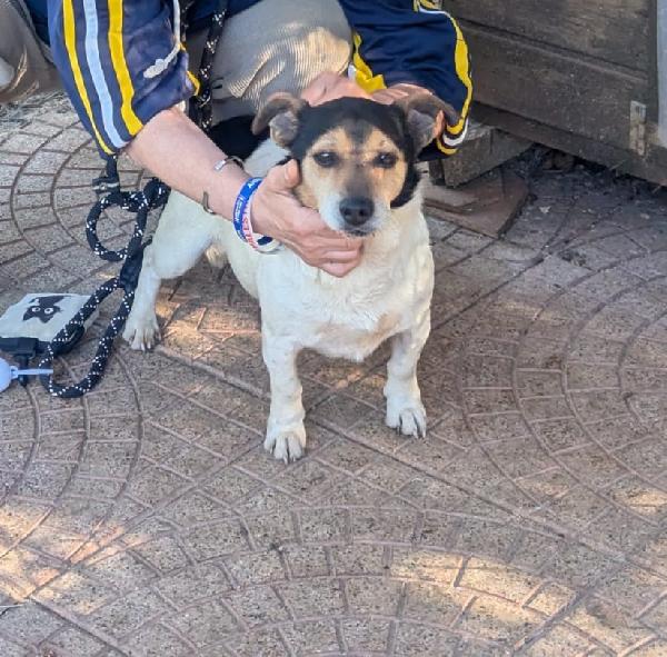 auri è speciale Foto 2