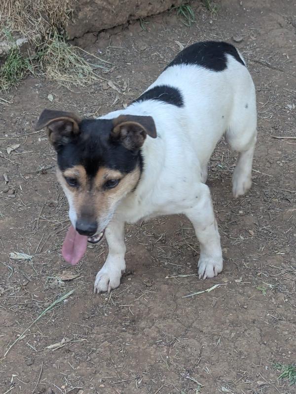 auri è speciale Foto 3