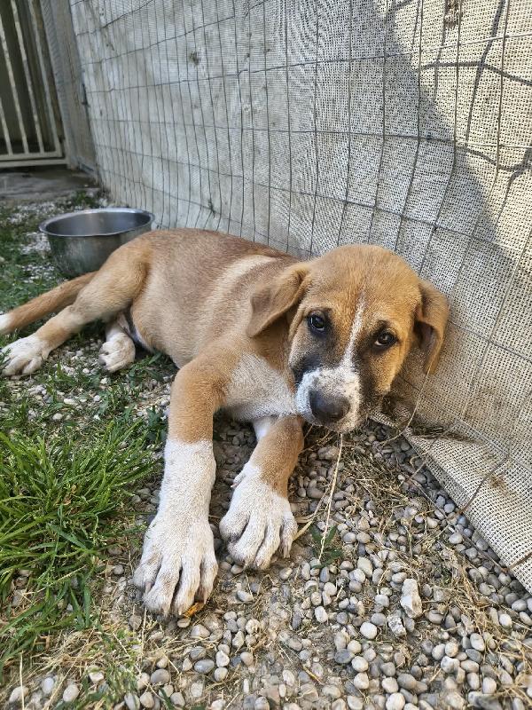 Ettore 🧡 Nana 🤍 Pixel 🖤